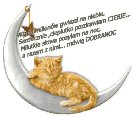 Kot pozdrawia Ciebie i mówi dobranoc